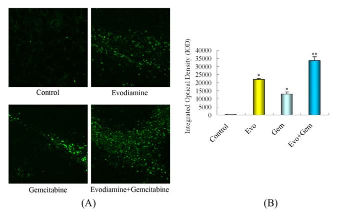 Int J Biol Sci Image