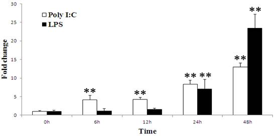 Int J Biol Sci Image