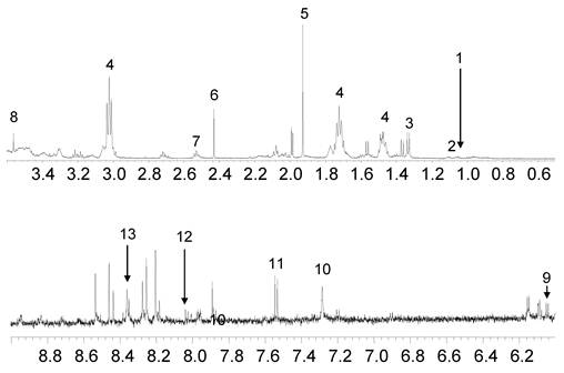 Int J Biol Sci Image