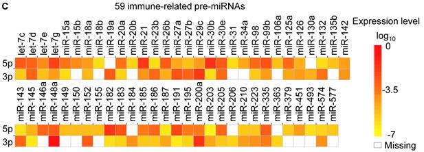 Int J Biol Sci Image