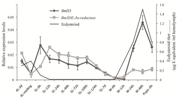 Int J Biol Sci Image