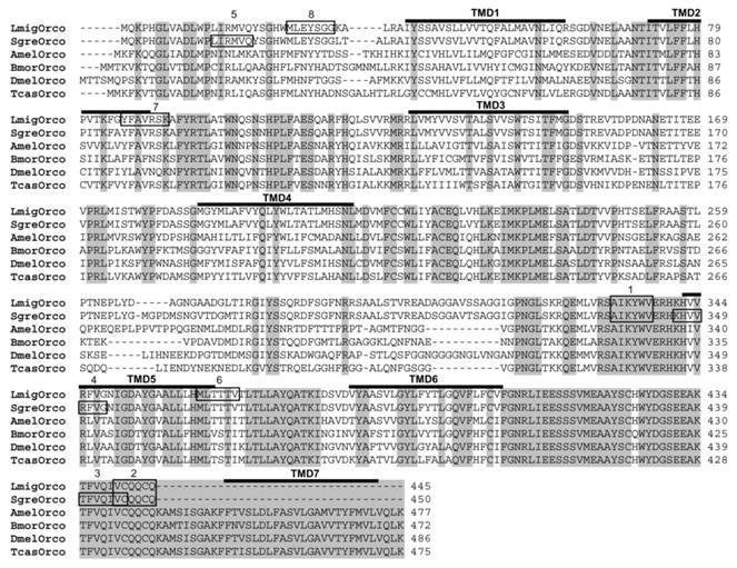 Int J Biol Sci Image