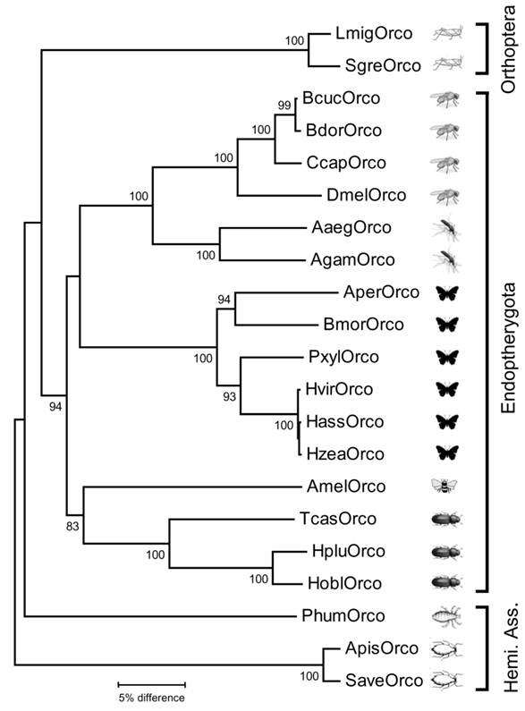 Int J Biol Sci Image