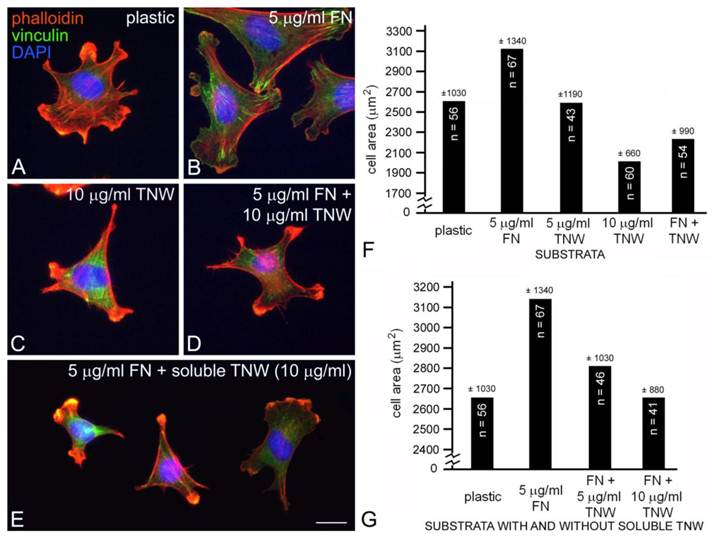 Int J Biol Sci Image