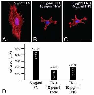 Int J Biol Sci Image