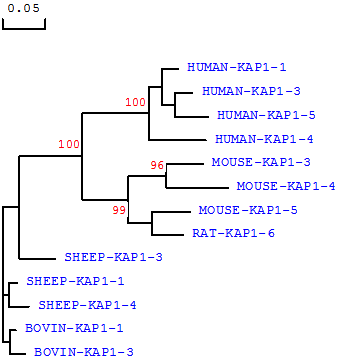 Int J Biol Sci Image