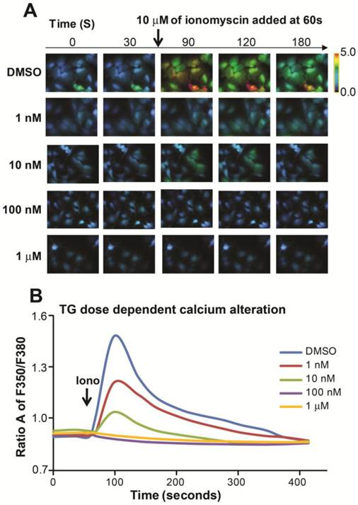 Int J Biol Sci Image