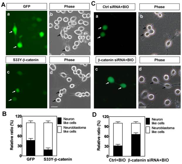 Int J Biol Sci Image