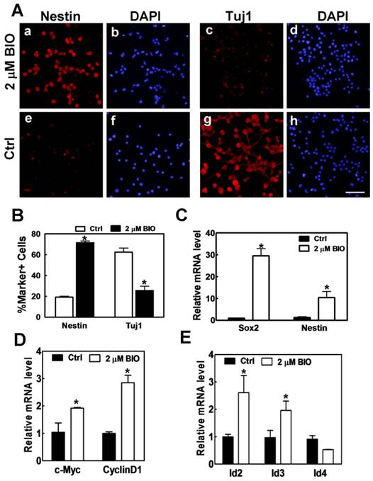 Int J Biol Sci Image