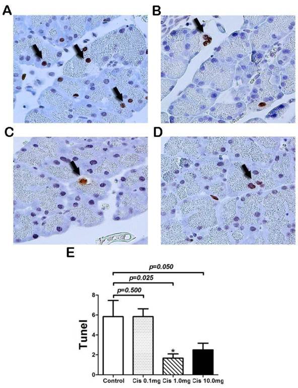 Int J Biol Sci Image