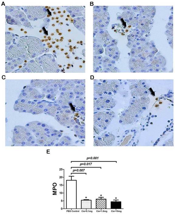 Int J Biol Sci Image