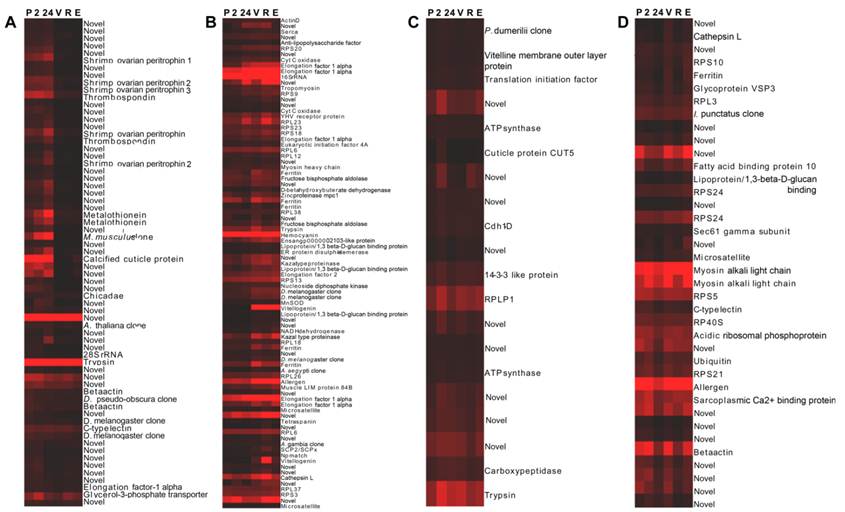 Int J Biol Sci Image