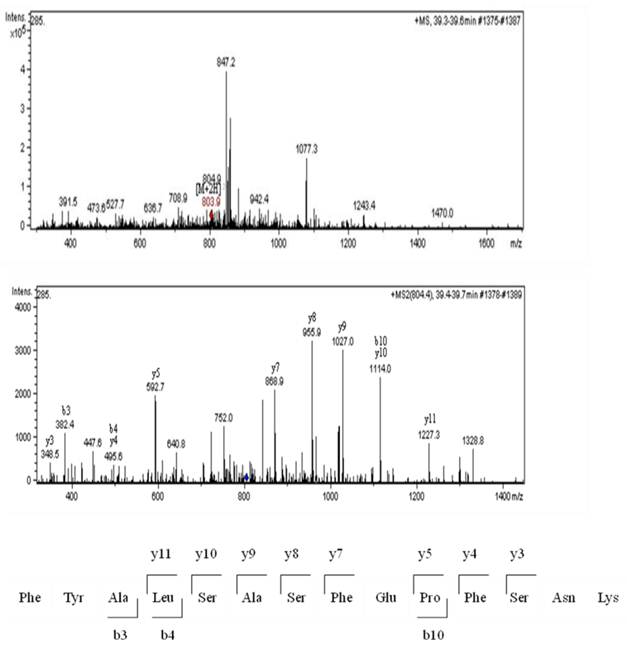 Int J Biol Sci Image