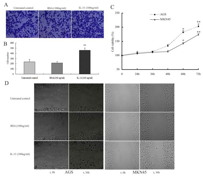 Int J Biol Sci Image