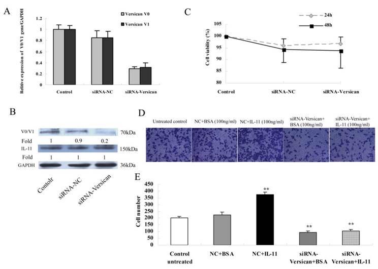 Int J Biol Sci Image