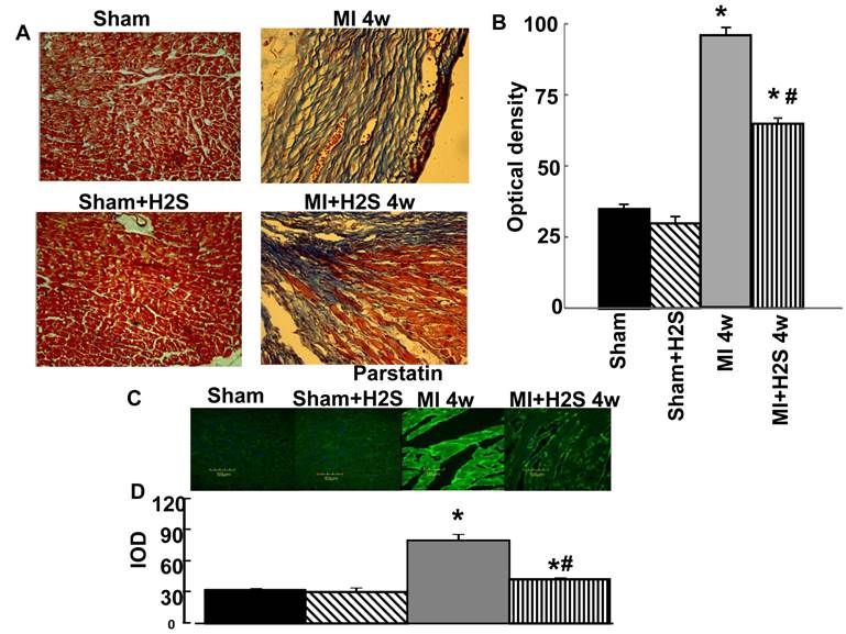 Int J Biol Sci Image