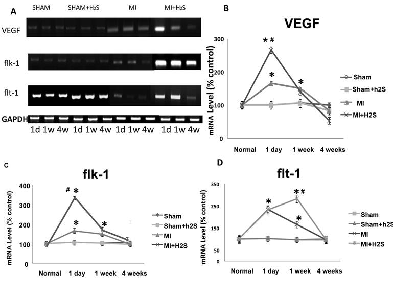 Int J Biol Sci Image