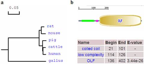 Int J Biol Sci Image