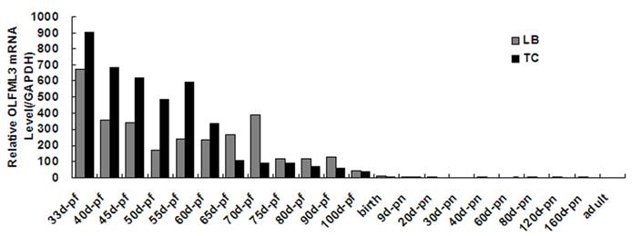 Int J Biol Sci Image