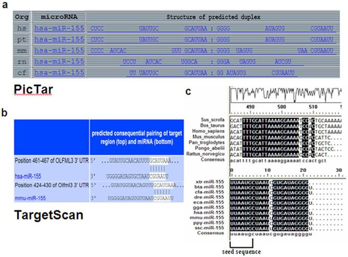 Int J Biol Sci Image