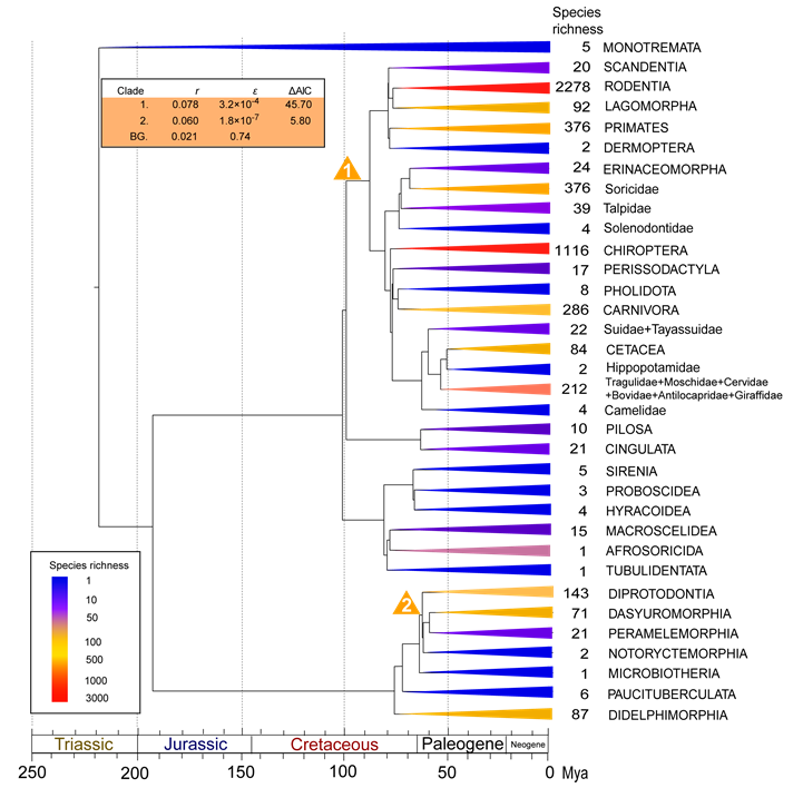 Int J Biol Sci Image