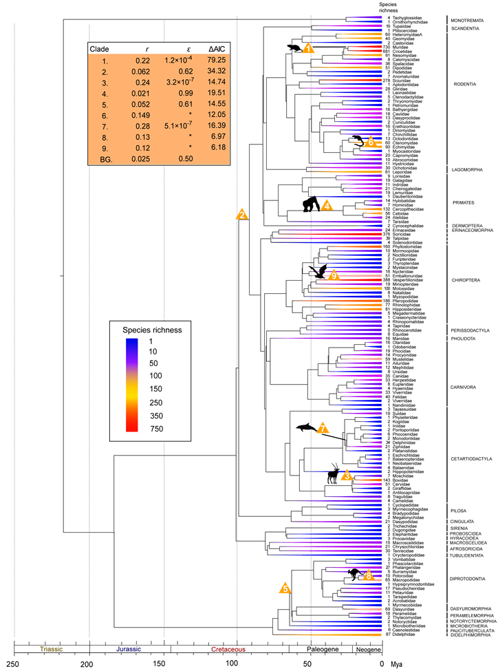 Int J Biol Sci Image