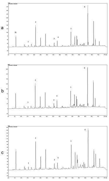 Int J Biol Sci Image