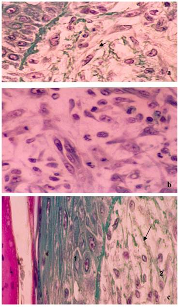 Int J Biol Sci Image