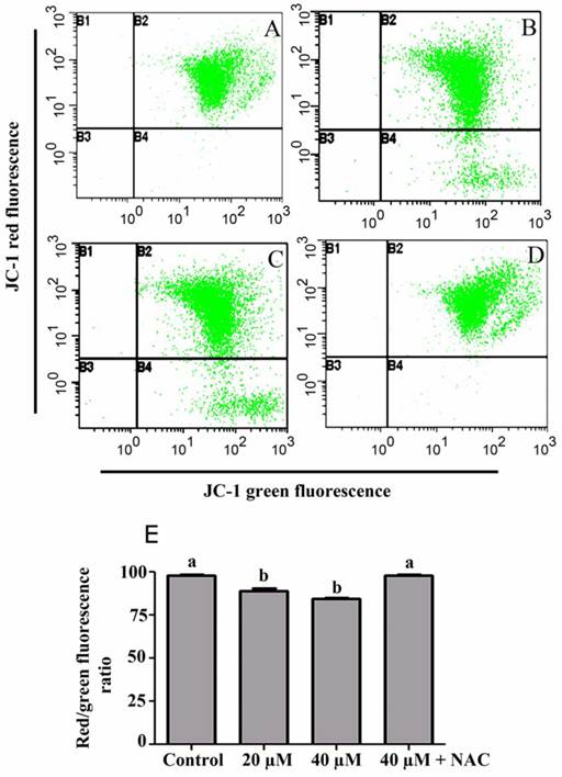 Int J Biol Sci Image