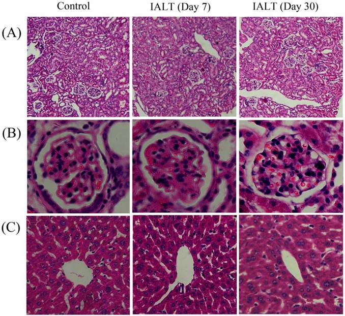 Int J Biol Sci Image