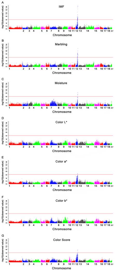 Int J Biol Sci Image