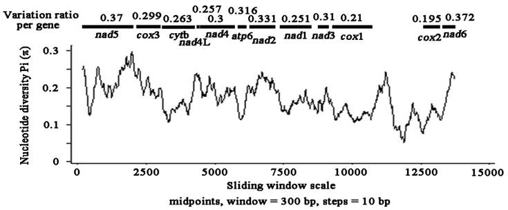 Int J Biol Sci Image