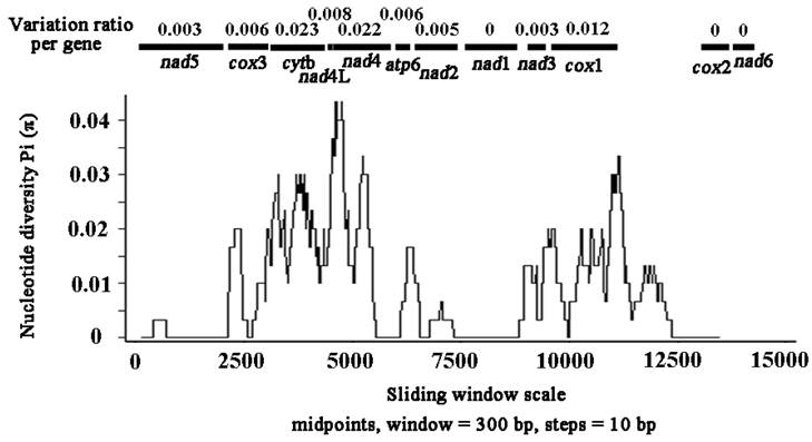 Int J Biol Sci Image