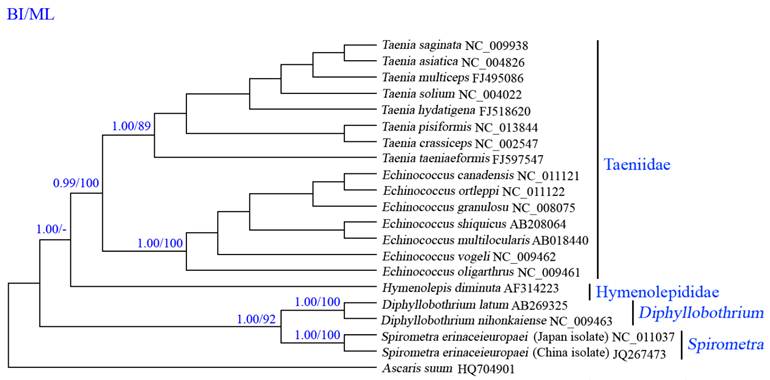 Int J Biol Sci Image