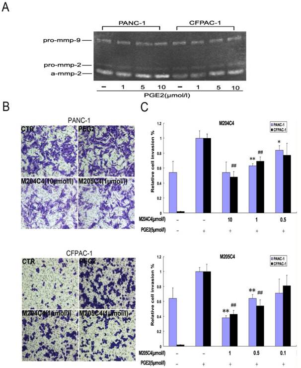 Int J Biol Sci Image