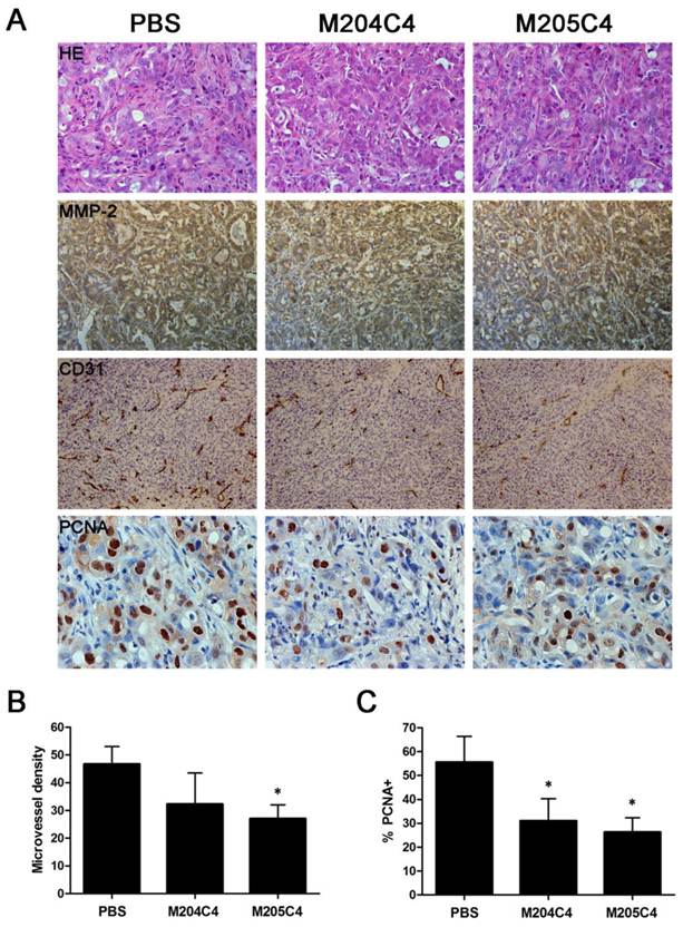 Int J Biol Sci Image