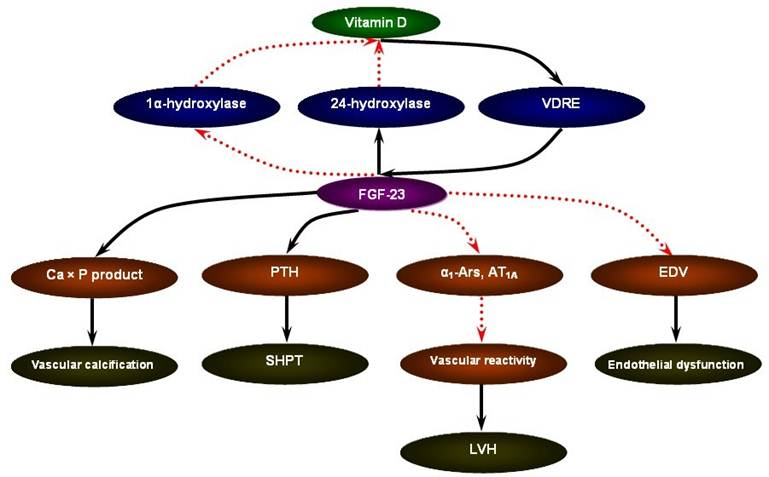 Int J Biol Sci Image