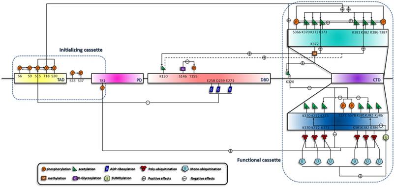 Int J Biol Sci Image