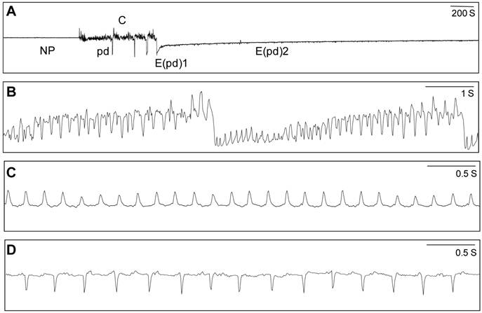 Int J Biol Sci Image