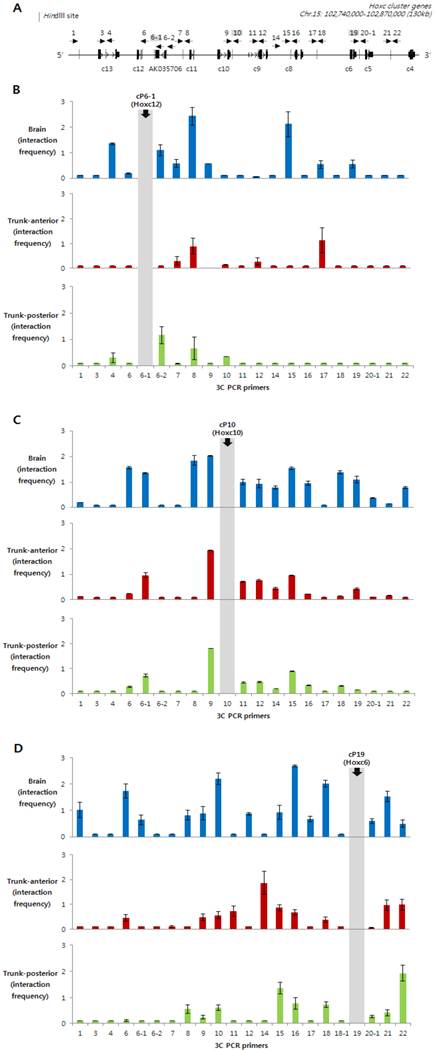 Int J Biol Sci Image