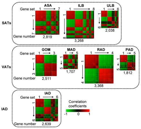 Int J Biol Sci Image