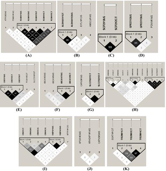 Int J Biol Sci Image