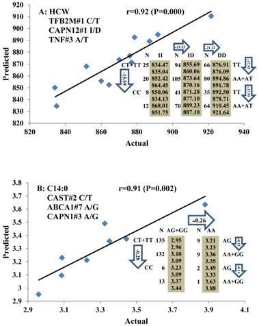 Int J Biol Sci Image