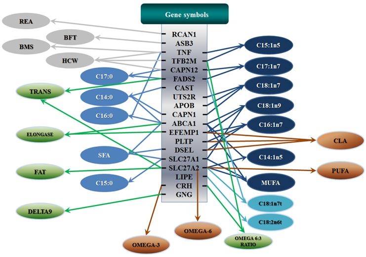 Int J Biol Sci Image