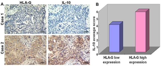 Int J Biol Sci Image