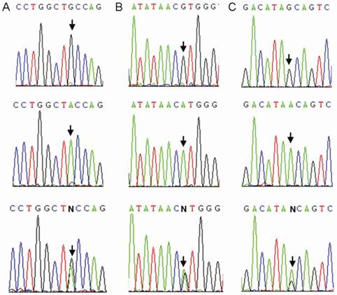 Int J Biol Sci Image