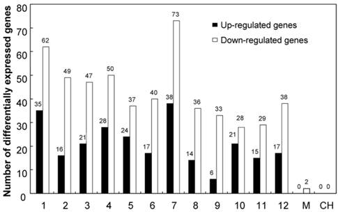 Int J Biol Sci Image