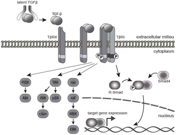 Int J Biol Sci Image