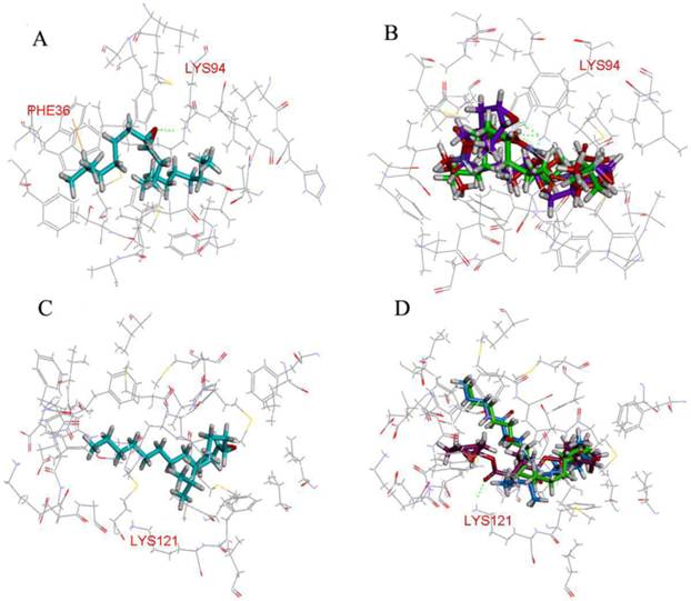 Int J Biol Sci Image