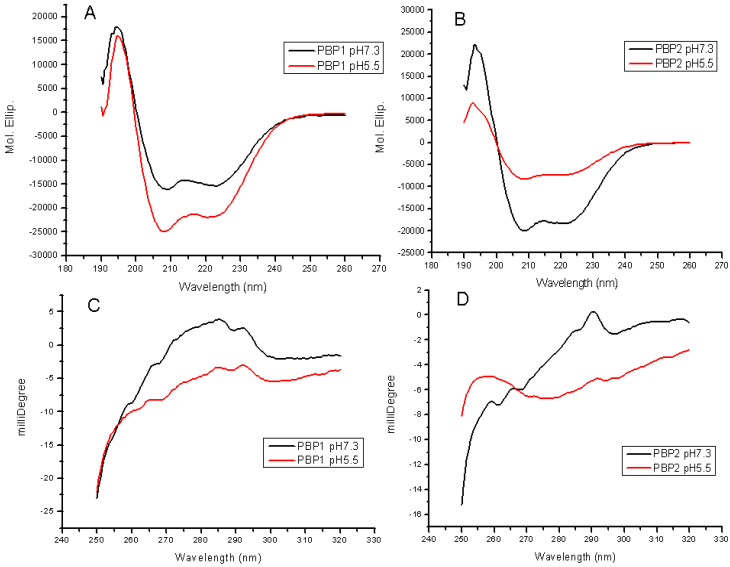 Int J Biol Sci Image